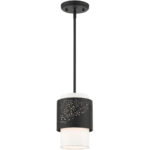 46259-04 1 Light Black Pendant-Lighting LumensPendant Lights