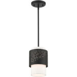 46259-04 1 Light Black Pendant-Lighting LumensPendant Lights