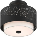 46267-04 2 Light Black Semi Flush-Lighting LumensSemi Flush