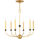 6 Light Natural Brass Chandelier with Solid Brass base Shade-Lighting LumensChandeliers