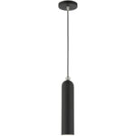 46751-04 1 Light Black Pendant-Lighting LumensPendant Lights