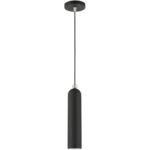 46751-04 1 Light Black Pendant-Lighting LumensPendant Lights