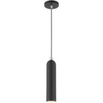 46751-04 1 Light Black Pendant-Lighting LumensPendant Lights