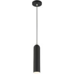 46751-04 1 Light Black Pendant-Lighting LumensPendant Lights