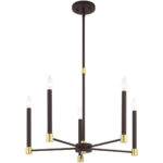 5 Light Bronze Chandelier with Steel base material-Lighting LumensChandeliers