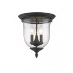 3 Light Black Ceiling Light fixture with Hand Blown Clear Glass Shade-Lighting LumensFlush Mount Ceiling Lights