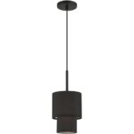 50271-04 1 Light Black Mini Pendant-Lighting LumensPendant Lights