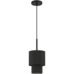 50271-04 1 Light Black Mini Pendant-Lighting LumensPendant Lights