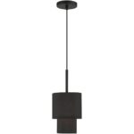 50271-04 1 Light Black Mini Pendant-Lighting LumensPendant Lights