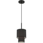 50271-04 1 Light Black Mini Pendant-Lighting LumensPendant Lights