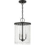 51060-04 3 Light Black Pendant Chandelier-Lighting LumensChandeliers