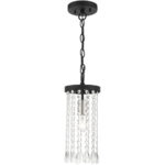 51062-04 1 Light Black Single Pendant-Lighting LumensPendant Lights