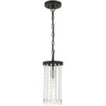 51062-04 1 Light Black Single Pendant-Lighting LumensPendant Lights