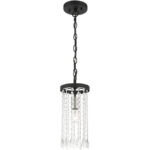 51062-04 1 Light Black Single Pendant-Lighting LumensPendant Lights