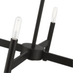 51174-04 Black 4-Light Chandelier-Lighting LumensChandeliers