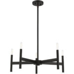 51175-04 5-Light Black Chandelier-Lighting LumensChandeliers