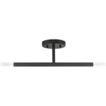 51179-04 2 Light Black Semi-Flush-Lighting LumensSemi Flush