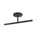 51179-04 2 Light Black Semi-Flush-Lighting LumensSemi Flush