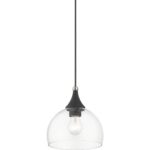 53641-04 1 Light Black Glass Pendant with Brushed Nikel Finish Accents-Lighting LumensPendant Lights