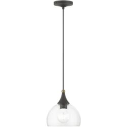 53641-07 1 Light Bronze Glass Pendant with Antique Brass Finish Accents-Lighting LumensPendant Lights