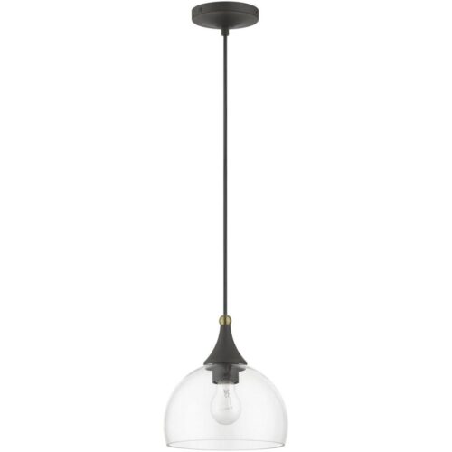 53641-07 1 Light Bronze Glass Pendant with Antique Brass Finish Accents-Lighting LumensPendant Lights