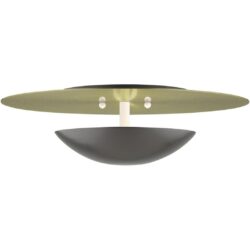 56570-92 2 Light English Bronze Large Semi-Flush/ Wall Sconce with Antique Brass Reflector Backplate-Lighting LumensSemi Flush