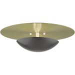 56570-92 2 Light English Bronze Large Semi-Flush/ Wall Sconce with Antique Brass Reflector Backplate-Lighting LumensSemi Flush