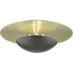 56570-92 2 Light English Bronze Large Semi-Flush/ Wall Sconce with Antique Brass Reflector Backplate-Lighting LumensSemi Flush