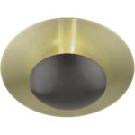 56570-92 2 Light English Bronze Large Semi-Flush/ Wall Sconce with Antique Brass Reflector Backplate-Lighting LumensSemi Flush