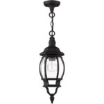 7523-14 1 Light Textured Black Outdoor Pendant Lantern-Lighting LumensLantern