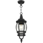 7523-14 1 Light Textured Black Outdoor Pendant Lantern-Lighting LumensLantern