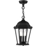 7564-14 3 Light Textured Black Outdoor Pendant Lantern-Lighting LumensLantern