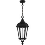 2 Light TBK Outdoor Pendant Lantern with Clear Glass Shade-Lighting LumensLantern