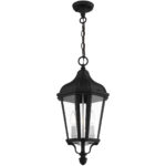 2 Light TBK Outdoor Pendant Lantern with Clear Glass Shade-Lighting LumensLantern