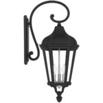 11 inch 3 Light TBK Outdoor Wall Lantern with Clear Glass Shade-Lighting LumensLantern