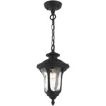 7849-14 1 Light Textured Black Outdoor Pendant Lantern-Lighting LumensLantern