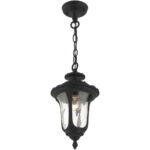 7849-14 1 Light Textured Black Outdoor Pendant Lantern-Lighting LumensLantern