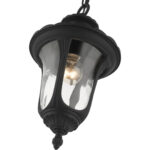 7849-14 1 Light Textured Black Outdoor Pendant Lantern-Lighting LumensLantern