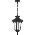 7854-14 1 Light Textured Black Outdoor Pendant Lantern-Lighting LumensLantern