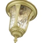 7854-33 1 Light Soft Gold Outdoor Medium Pendant Lantern-Lighting LumensLantern