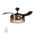 Paloma 42-inch Smart Ceiling Fan with wall control, Light Kit Included, Works with Google Assistant, Amazon Alexa, and Siri Shortcuts.