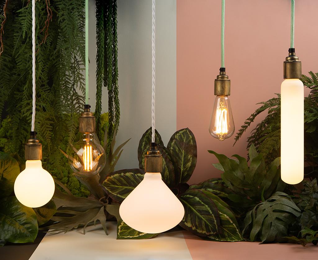 Energy Efficiency Meets Elegance Sustainable Bulbs that Complement Design